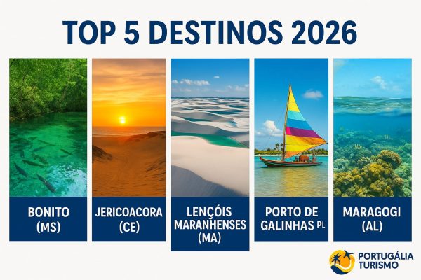 WhatsApp Image 2026-01-20 at 00.04.26 (1)